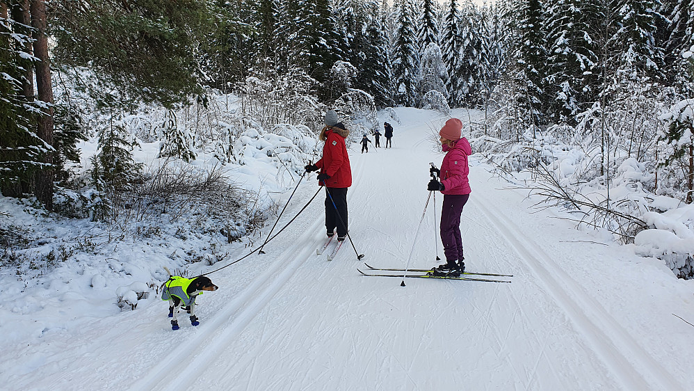 Vi følger løypa på Lyfjellveien et lite stykke.