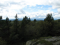 Nils_20210127_601110127196a.jpg