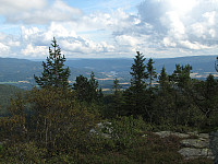 Nils_20210127_60111013d5bd3.jpg
