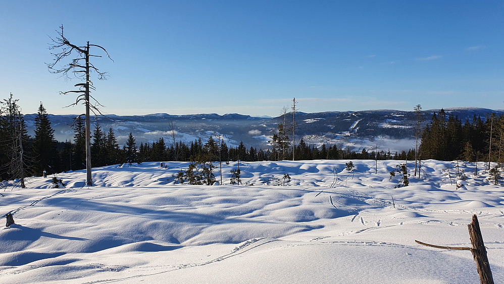 Noen meter sør for toppunktet på Folaberga (431), med utsikt vestover mot Finnemarka.