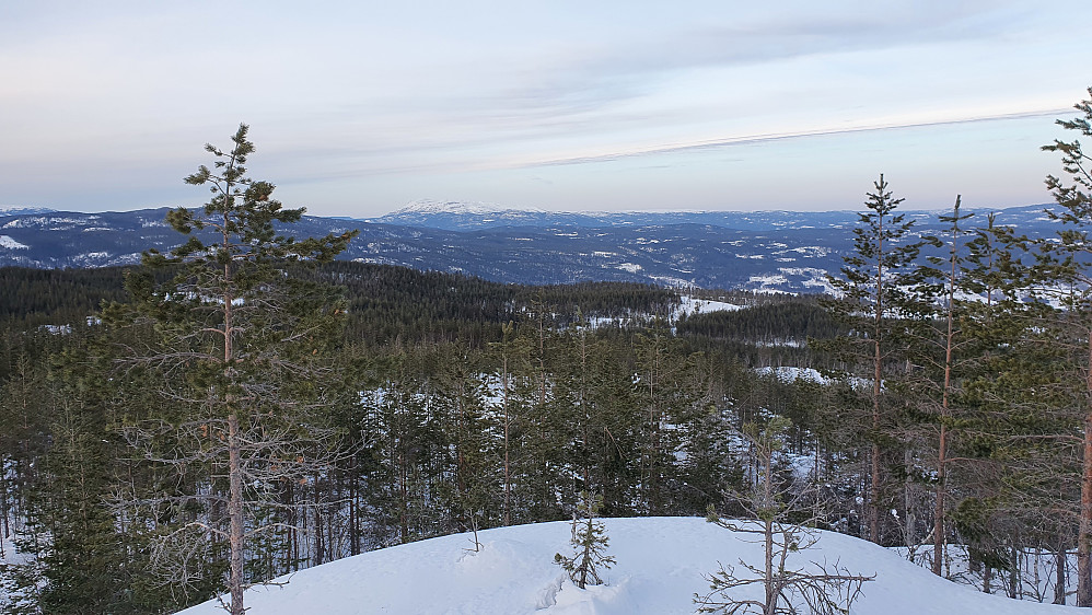 Utsikt nordover fra toppen av Høgeli (527). Fjellmassivet langt bak og litt til venstre, er Blefjell.