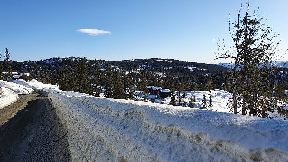 Bjønnliåsen (822) bak til venstre, og Vardefjell (834) ca midt i bildet, sett fra veien litt vest for Fossliseteråsen (827).