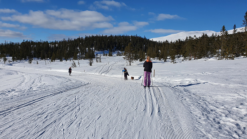 Oppe ved krysset som er ganske så rett nord for Øvre Noresetra. Her går vi vestover, og begynte på selve runden vi skulle gå.