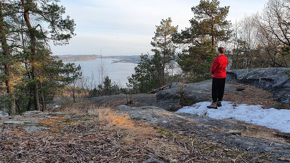 Utsikt mot Frierfjorden fra Lakollen.