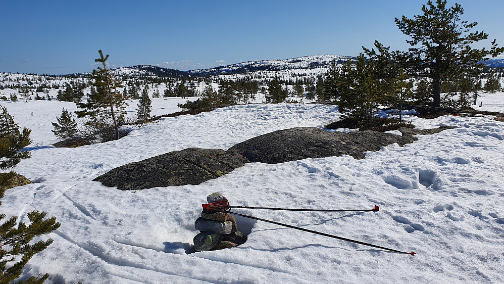 På høyden Nord for Rundtjern (752), like sørvest for Solobua. I bakgrunnen og litt til høyre, ses Lifjell (820).