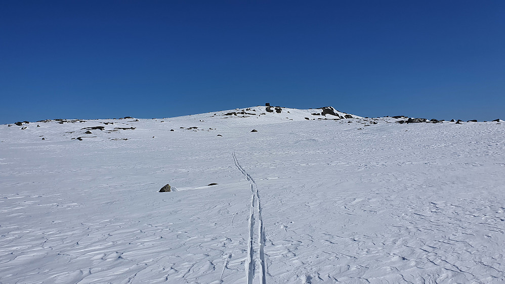Den store toppvarden på Fjellbunuten (1340) begynner nå å bli godt synlig. Her sett fra V/SV, hvor en annen skiløper ganske nylig hadde gått før meg.