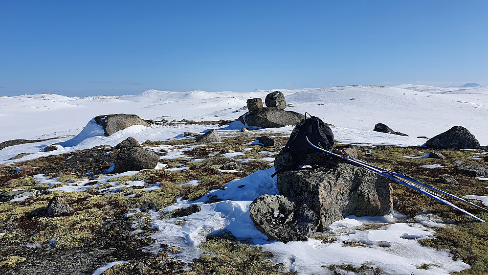 På Steindalsheie (1323). I bakgrunnen og litt til venstre ses Fjellbunuten (1340), så bildet er tatt mot sørøst. Gaustatoppen (1883) skimtes helt ytterst til høyre.