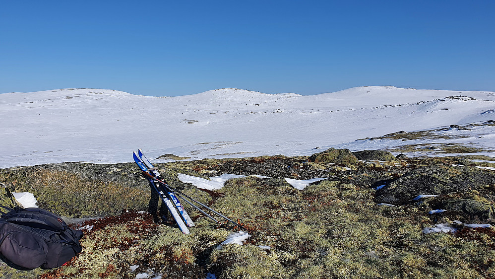 Pause på høyden Nordvest for Steindalsheie (1292). De tre jevnhøye toppene bak er fra venstre: Steindalsheie Nord (1321), Steindalsheie (1323) og Steindalsheie Sør (1328).