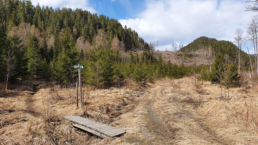 I dette krysset forlot jeg kjerreveien og fortsatte på stien mot Tjuvborgen (145), som er åsen til venstre. Lengre bak til høyre er Bakkeåsen (215)