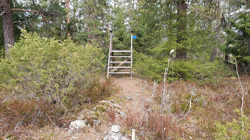 På Ravnåskollen (172) er det satt opp en trapp over et strømgjerde. Den vesle toppvarden ses helt nederst i bildet.