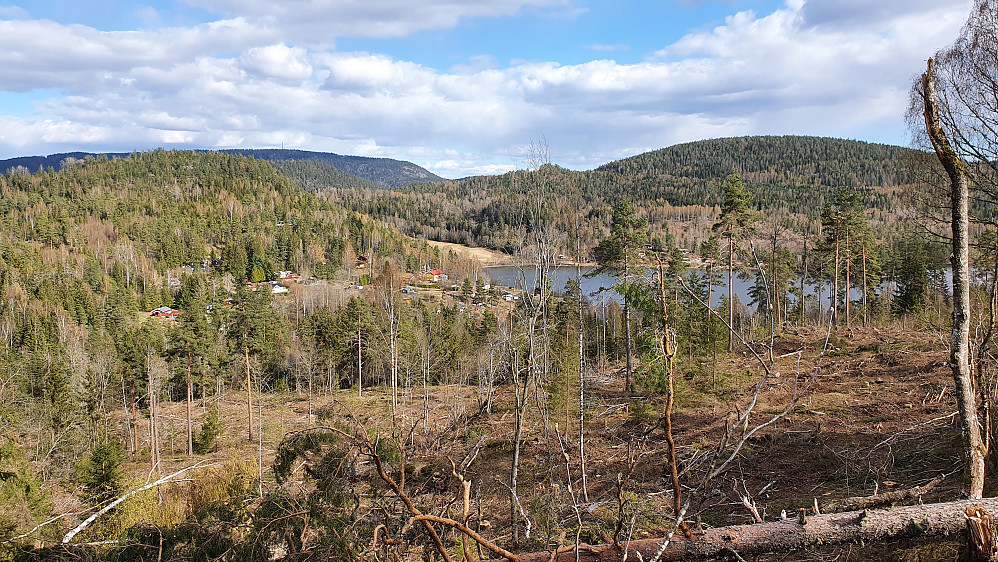 Fra hogstområdet på Tangenåsen (124) var det god utsikt. Her mot sørøst, med Presthøgås (249) til høyre i bildet.