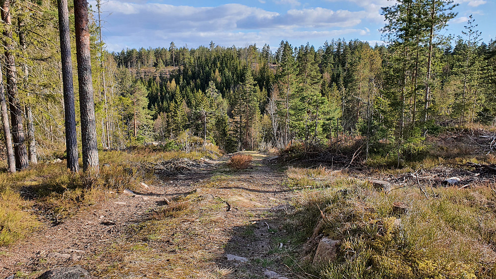 I bakgrunnen er den flate Nøtnesåsen (200), sett fra traktorveien på åsen sør for Presthøgås. Her bikker jeg straks ned i bekkedalen hvor jeg forlot denne traktorveien.