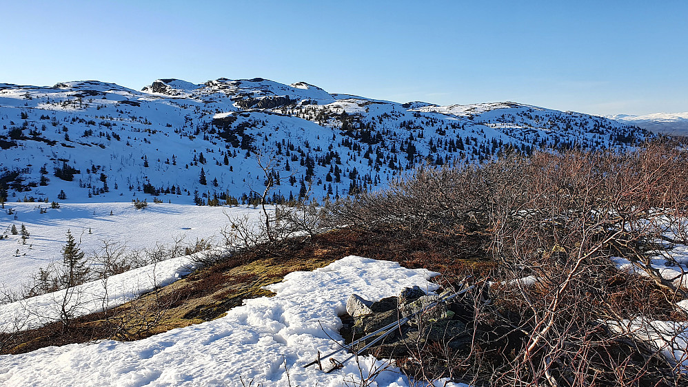 På toppen av Butjønnhøgde Nord (948). Oppe til venstre er bl.a. Ormehogg Sør (1072) og Ormehogg (1070).