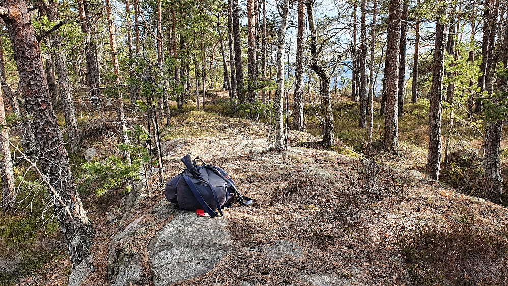 På Kokleråsen Nordvest, som tidligere var rødnåla og altså bare så vidt er lavere enn høyden 300 meter lengre sørøst.