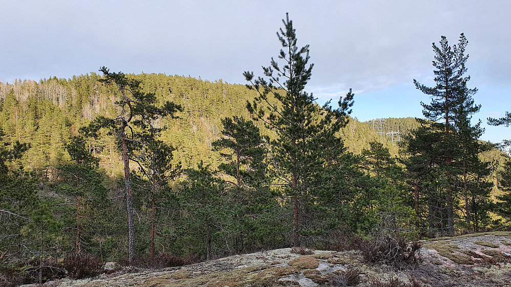 I østsiden på Kokleråsen (283) fikk jeg se over mot mine to neste mål. Til venstre er Dalskufjell (343), og lengre bak til høyre ses litt av Godalsfjell (324).