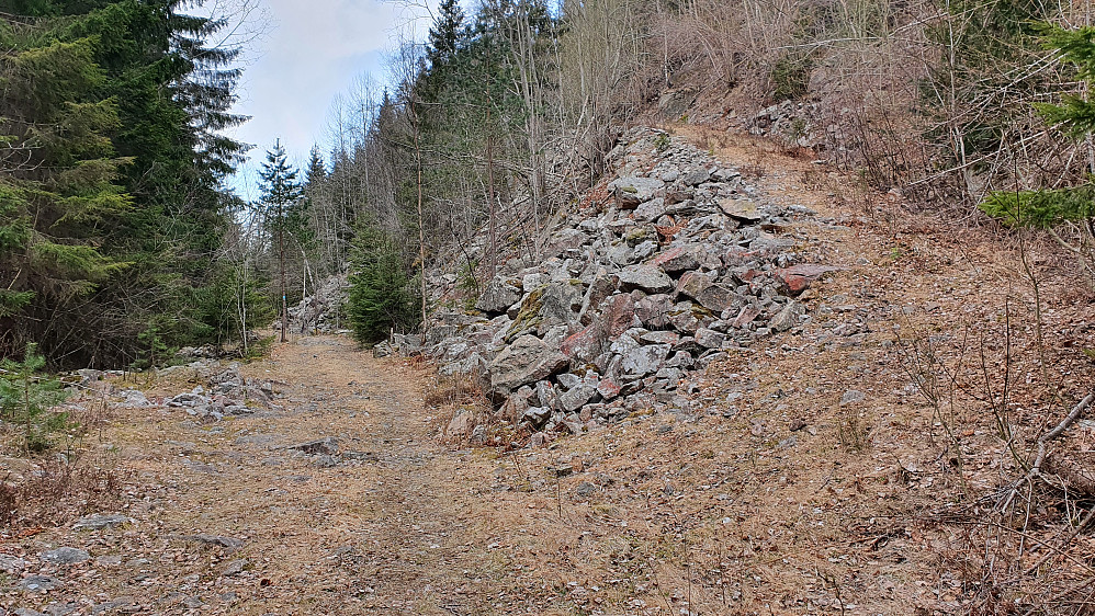 Krysset nede i Tutardalen. Oppover til høyre går kjerreveien som fører opp på Kokleråsen, mens til venstre går veien nedover Tutardalen, og som ender der jeg parkerte.