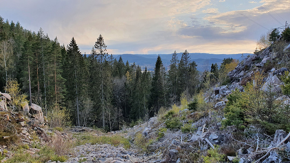 Under høyspentlinja nede i dalen mellom Dalskufjell og Godalsfjell fikk jeg noe utsikt i vestlig retning.