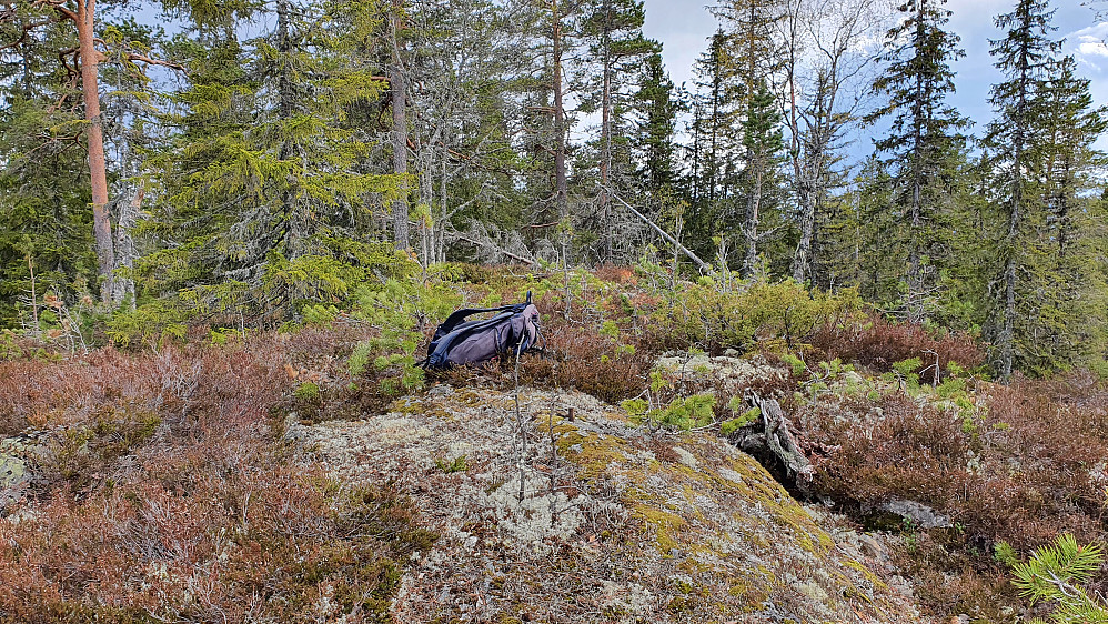 Toppunktet på Kvigtjennhøgda (571) med den rustne bolten i berget litt hitenfor ryggsekken.