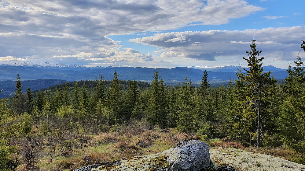 På vei oppover mot Gampedalsbrenna fra nord, fikk jeg nydelig utsikt mot nordvest. Norefjell er helt til venstre i bildet.