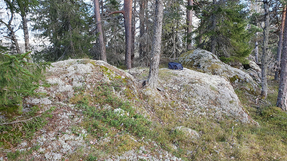 Det sørlige toppunktet på Gampedalsbrenna (504), som bare er noen få cm høyere enn det nordøstre toppunktet snaut 200 meter lengre mot nordøst.