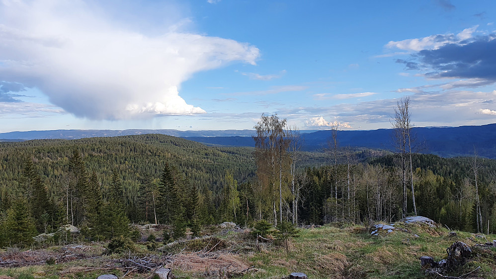 Jeg har begynt nedstigningen fra Gampedalsbrenna, og er like sør for trig.punktet (500). Dagens beste utsikt sørover. Høydedraget bakerst til venstre er Finnemarka.
