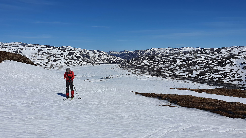 Erling på den nordøstre delen av Bakkahellertunga. Bak han ses Vestredalsvatnet, og til høyre for dette går fylkesvei 50.