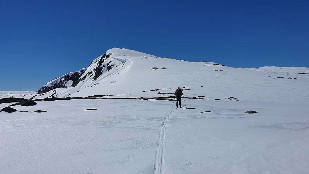 Øyvind loffer avgårde mot Vargabreen. Her er vi på ca 1600 meters høyde, med siste bakken opp mot Vargabreen Øst (1746) foran oss.