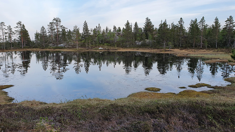 Tjernet som er nærmest og rett nord for Leknesfjellet Sør (717). Selve toppen befinner seg på høyden på andre siden av tjernet.