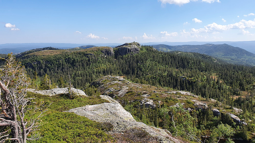 Jeg står på Bufjellnatten (863) og ser over mot neste mål, Svartetjønnåsen (855), som er stupbratt på flere kanter. På høyre side fant jeg dog en farbar oppgang.