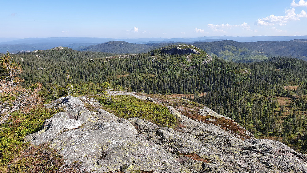 Jeg står på Svartetjønnåsen (855) og ser mot neste mål, Hovsåta (827), som er kollen litt til høyre for midten av bildet.