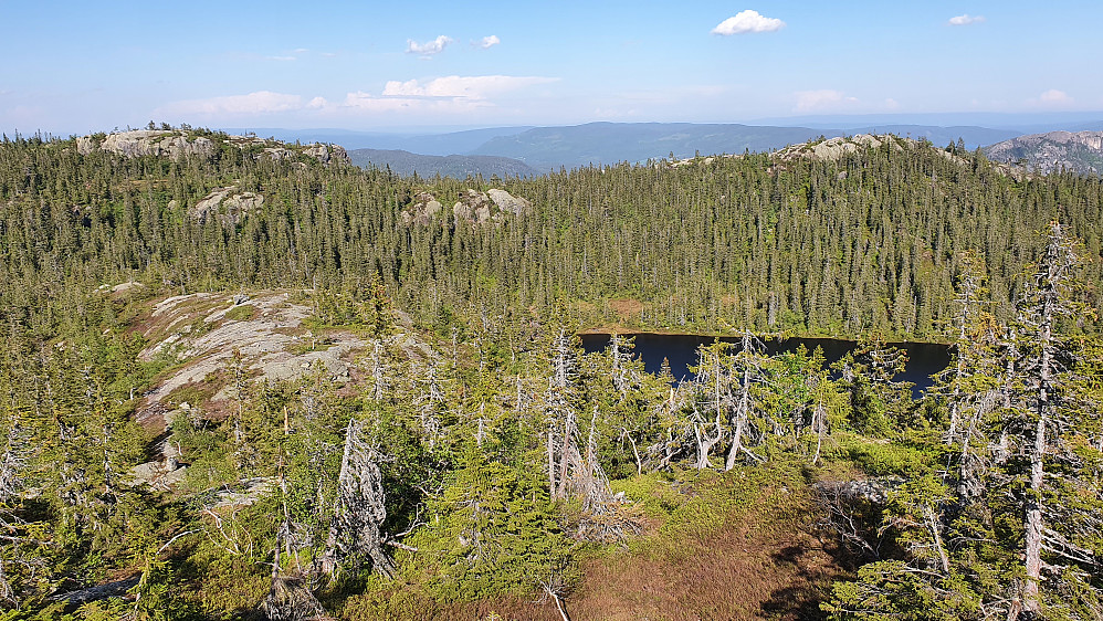 Jeg er på vei ned fra Hovsåta (827) og ser over mot mine to neste mål: Langevassåsen (805) til høyre og Bjørnåsen (816) helt til venstre.