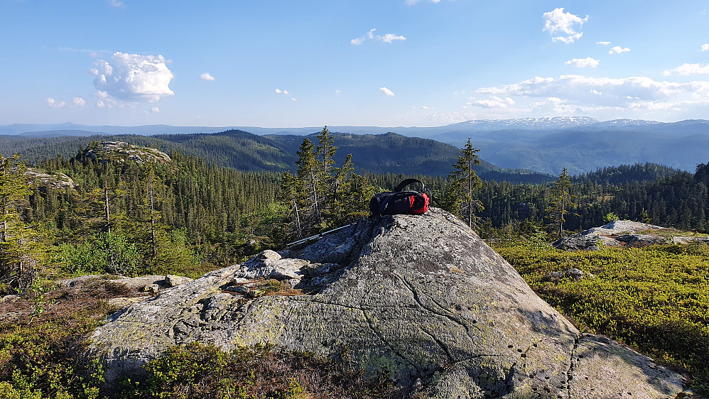 På Bjørnåsen (816) var det flere ganske jevnhøye punkt, men denne knausen stakk nok av med seieren. Utsikt mot sørvest. Helt bakerst til høyre er Blefjell.