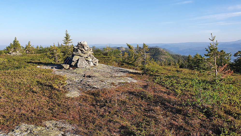 Toppvarden på Raudsteinvarden (897). Aller høyeste punkt er nok ved steinene helt til venstre i bildet.