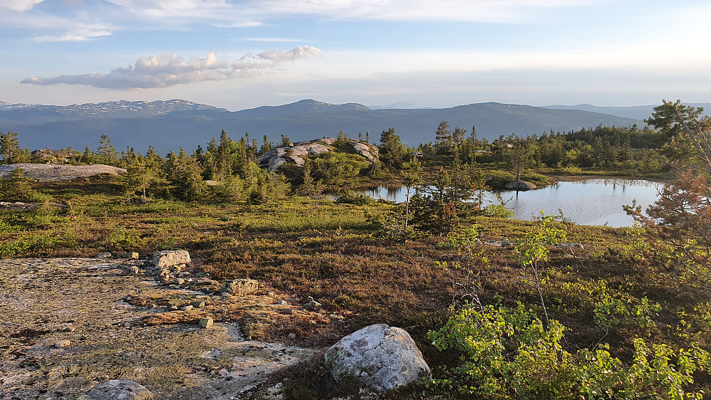 På Fagerliåsen. Utsikt mot SV. Bakerst til venstre er nordre del av Blefjell. Mer midt i bildet er Senhovd (1142). Gaustatoppen kan også skimtes i det fjerne, til høyre for Senhovd.