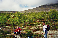 10.09.1995 - Vi har forlatt grusveien til Bjørnhollia og er snart over skoggrensa. Bakken opp til Storsvultens sørøstlige topp (1790) er oppe til høyre. Utrolig fint terreng å gå i her!