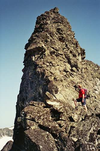 20.08.1995 - Hans Petter ser med stor respekt opp den første og høyeste hammeren på Skardstindens vestrygg. Her har vi nettopp klatret ned denne, og er temmelig lettet og fornøyde.
