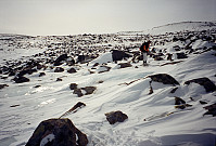 04.04.1996 - Gisle på glattisen og i steinete landskap i Steindalen, øst for Øystre Rasletinden (2010 moh).