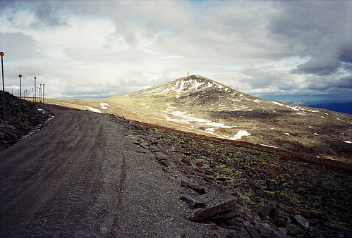 15.06.1996 - Blåhøe (1617) sett fra vest, fra veien sør for Rundhøe (1566). 
