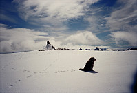 16.06.1996 - Jeg sitter på toppvarden på Loftet (2170) med Gisles hund i forgrunnen.