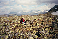 10.08.1996 - Nede ved Galgeberg Vest (1521) var det utrolig deilig å kjenne solstrålene varme. Langt bak ses blant annet Smørstabbtinder.