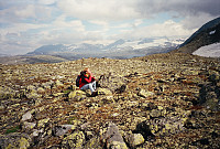 10.08.1996 - Nede ved Galgeberg Vest (1521) var det utrolig deilig å kjenne solstrålene varme. Langt bak ses blant annet Smørstabbtinder. 