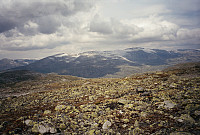 10.08.1996 - Bak til høyre er Liabrekulen (1910), sett fra Galgeberg, vest for Store Steindalsnosi (2025).