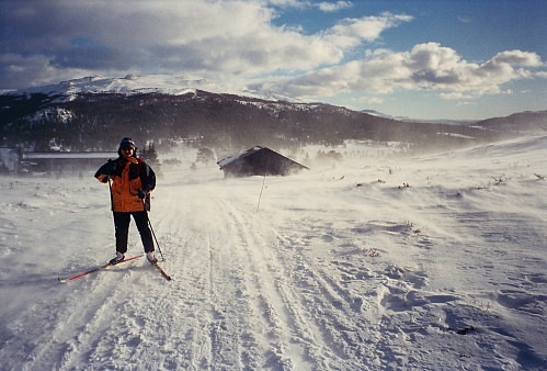 08.02.1997 - Vi stavrer oss nordover fra Rondablikk, som ligger bak til venstre. Bildet er tatt mot sørøst. Kraftig motvind med snøfokk og iskuler i de verste kastene, men det løyet da vi kom ned i skogen mot Furusjøen.