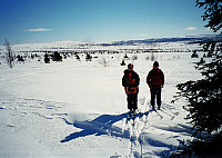29.03.1997 - Gisle & Hans Petter ved Selstølen, nord for Yddin i Valdres, Øystre Slidre.