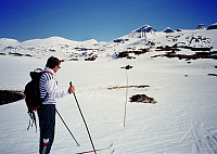 01.06.1997 - Gisle og hunden Nicko på Sognefjellet. Store Smørstabbtinden (2208) er i bakgrunnen litt til høyre.