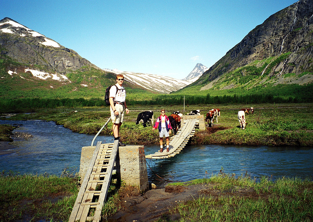 05.07.1997 - Hengebrua over elva Vesleåe, litt sør for Gjendebu. Hit, men ikke lenger, kom de nysgjerrige kuene.