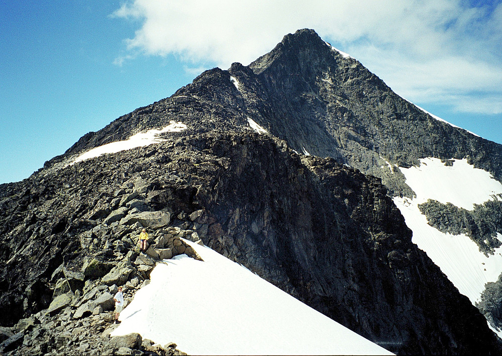 05.07.1997 - Store Knutsholstinden (2341) sett fra sør. Sørryggen er i starten bred og enkel, men den siste bratte kneika litt før toppen er langt mer utfordrende. Der måtte vi runde litt ut til venstre.