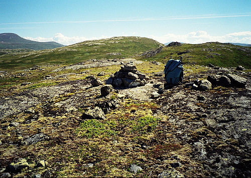 06.07.1997 - På høyde 1099 (Bygdinhøgda V2, 1097 moh), ca 1 km sørvest for Bygdin Fjellhotell. Bildet er tatt mot øst. Toppen midt i bildet er høyde 1154 (Bygdinhøgda, 1151).