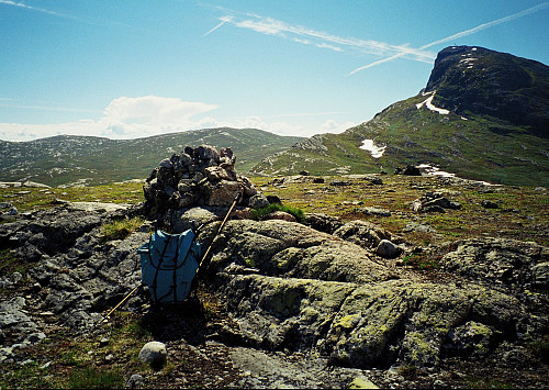 06.07.1997 -  På Bygdinhøgda (1151, står også 1154 moh på kart). Bildet er tatt mot sør. Oppe til høyre er Bitihorn (1607).