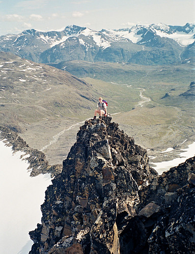 10.08.1998 - Hans Petter på den smale og bratte ryggen sørøst for Memurutinden V5 (2140). Elva bak er Muru, i Memurudalen.